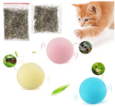 Paw Portal Sesli Top Kedi Oyuncağı - MeanYou